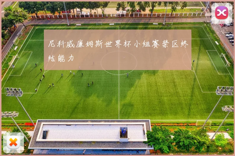 尼科威廉姆斯世界杯小组赛禁区终结能力
